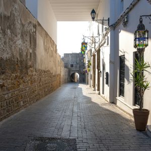 a narrow alley way with a potted plant on the side