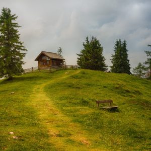 brown wooden house near trees on hill