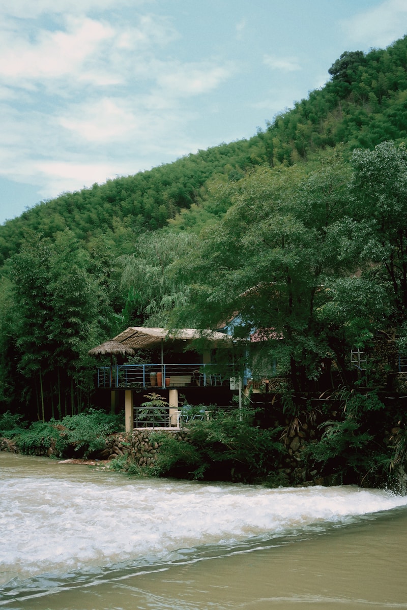 a house sitting on top of a lush green hillside